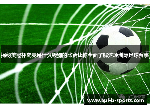 揭秘美冠杯究竟是什么级别的比赛让你全面了解这项洲际足球赛事